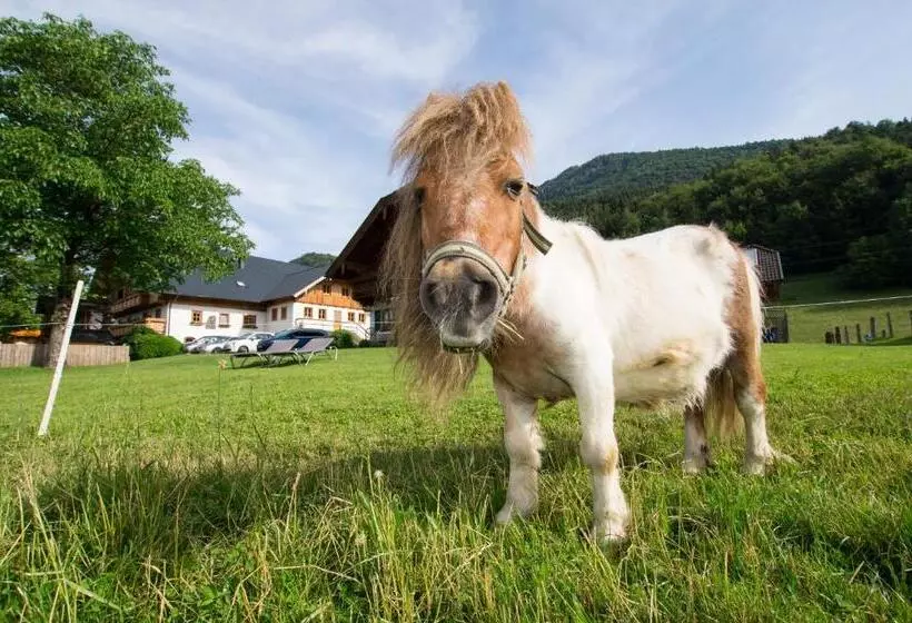 ベッドアンドブレックファースト Hauslhof