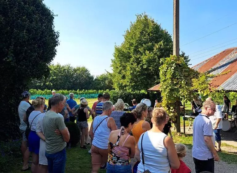 Aamiaismajoitus (B&B) Wijnstaete