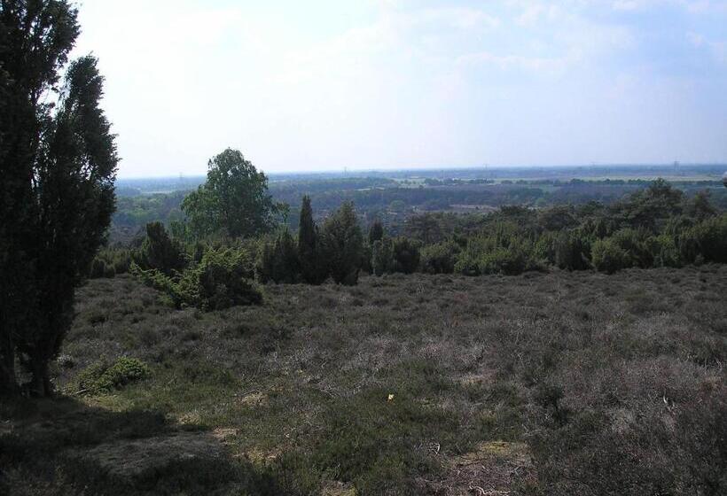 Bed and Breakfast Wijnstaete