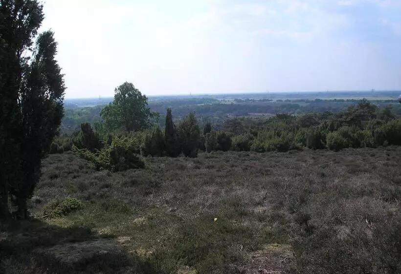 Aamiaismajoitus (B&B) Wijnstaete