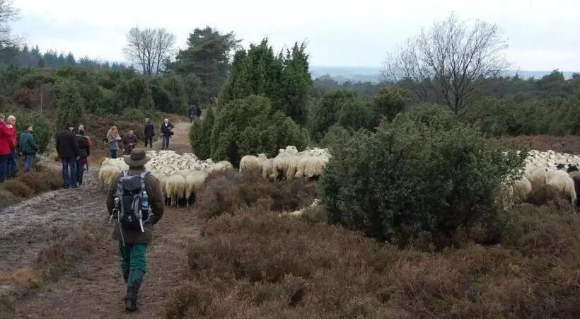 Aamiaismajoitus (B&B) Wijnstaete
