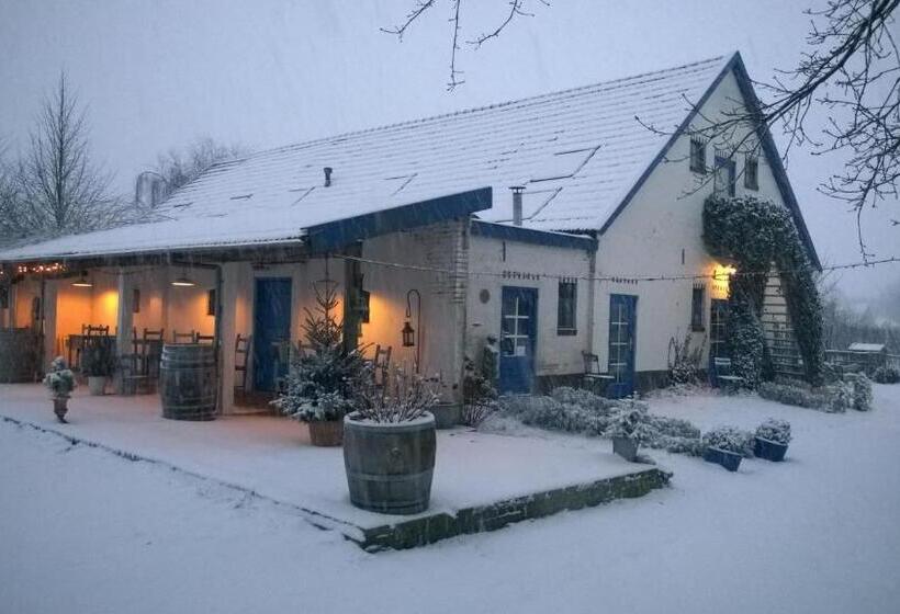 Bed and Breakfast Wijnstaete