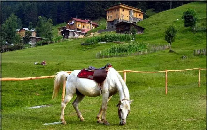 هتل Kackar Resort