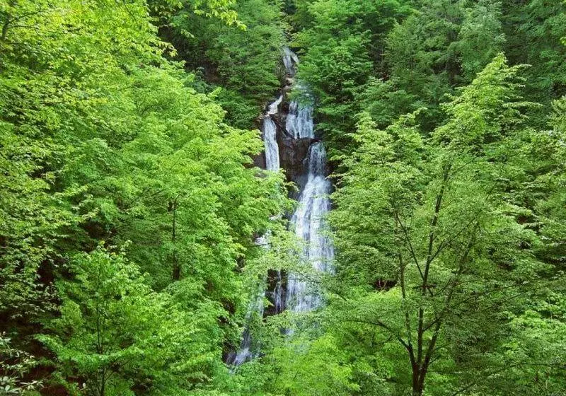 هتل Kackar Resort