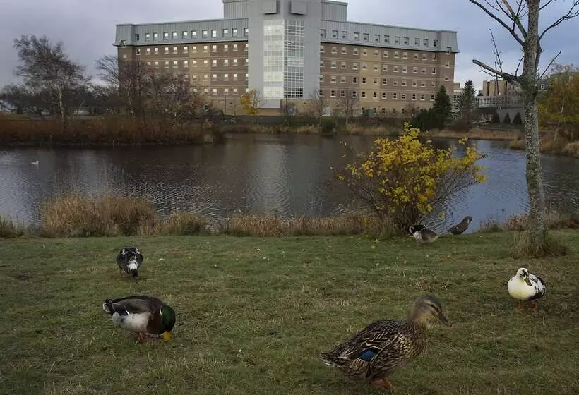 Hotelli Memorial University