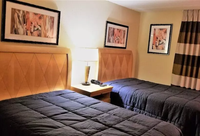 モーテル Madison Inn And Suites