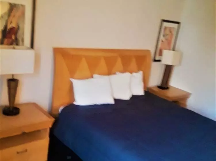 モーテル Madison Inn And Suites