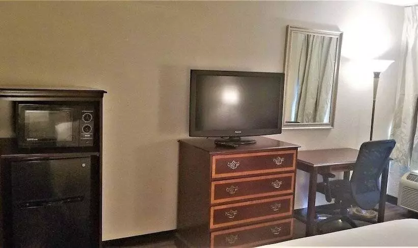 モーテル Madison Inn And Suites