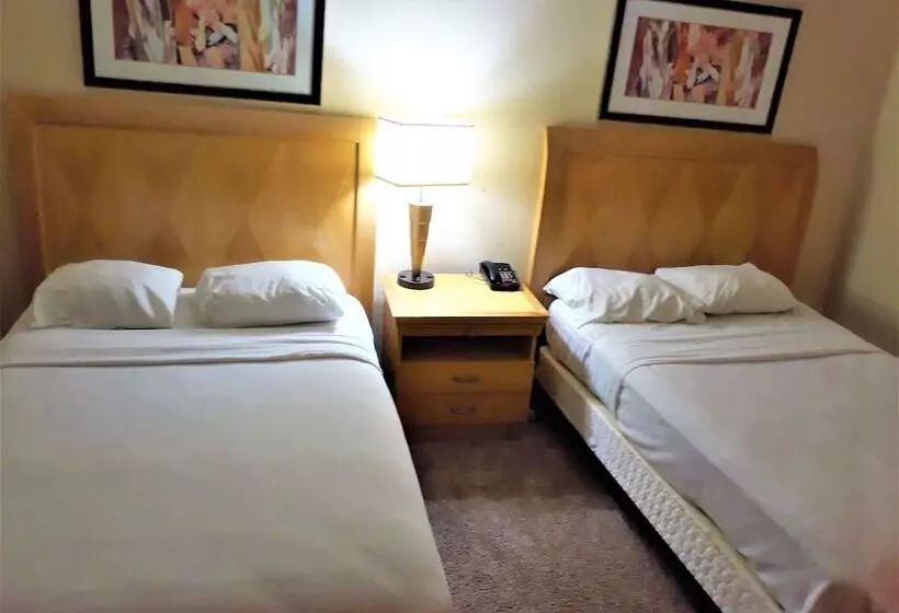 モーテル Madison Inn And Suites