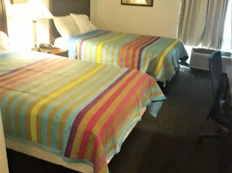 モーテル Madison Inn And Suites