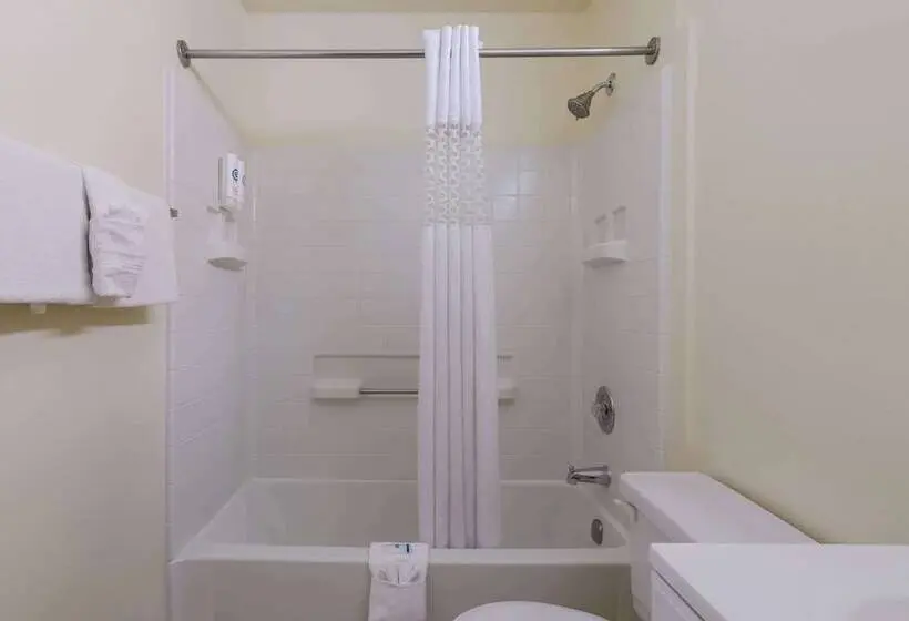 モーテル Rodeway Inn Livermore