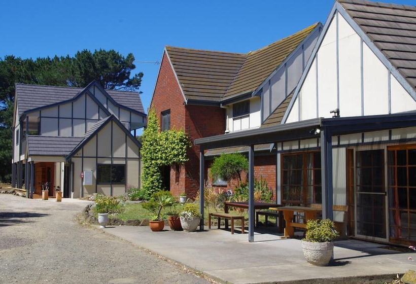 汽车旅馆 The View On Grossmans