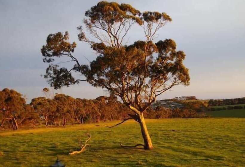 汽车旅馆 The View On Grossmans