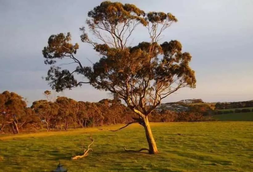 Motelli The View On Grossmans