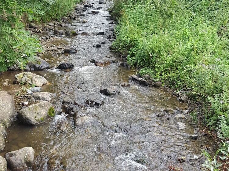 Vanadzor Armenia Health Resort &