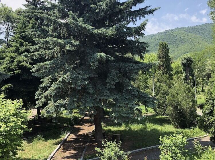 Vanadzor Armenia Health Resort &