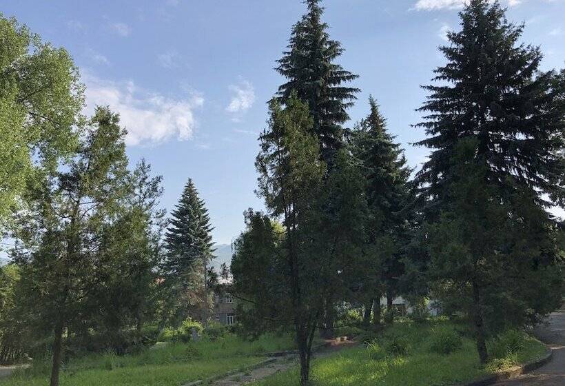 Vanadzor Armenia Health Resort &