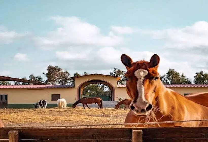 ホテル Ribot"Horse Country Resort"