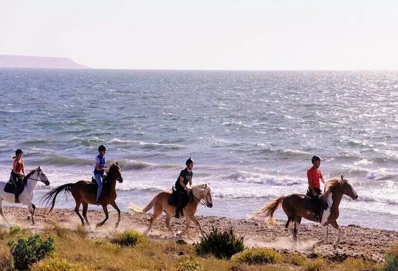 ホテル Ribot"Horse Country Resort"