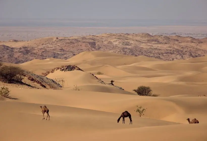 リゾートホテル Six Senses Southern Dunes, The Red Sea