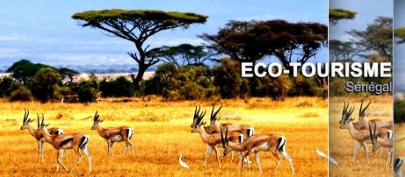 Eco Lodge Hotel Oasis Fishing