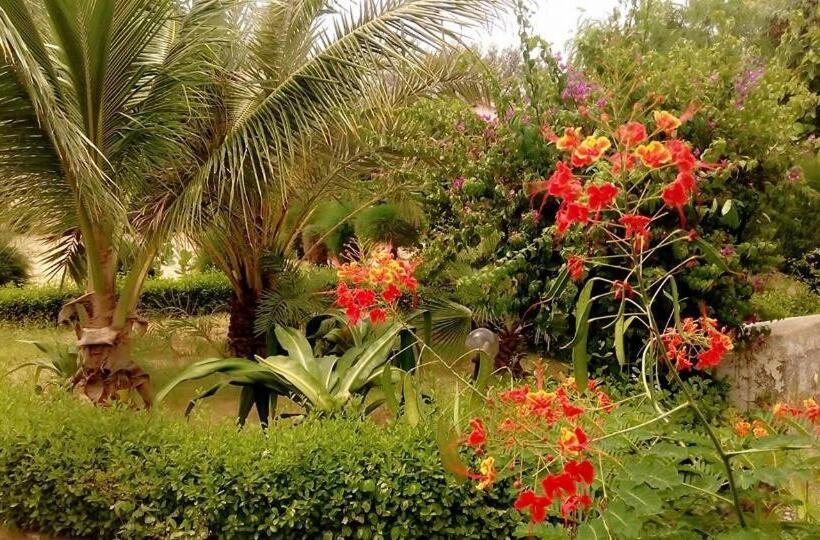 Eco Lodge Hotel Oasis Fishing