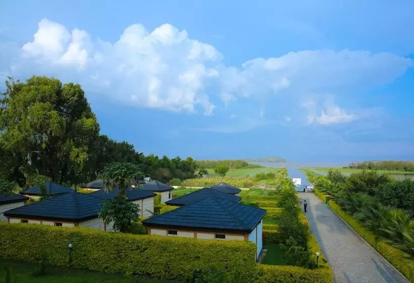 هتل Haile Resort Ziway