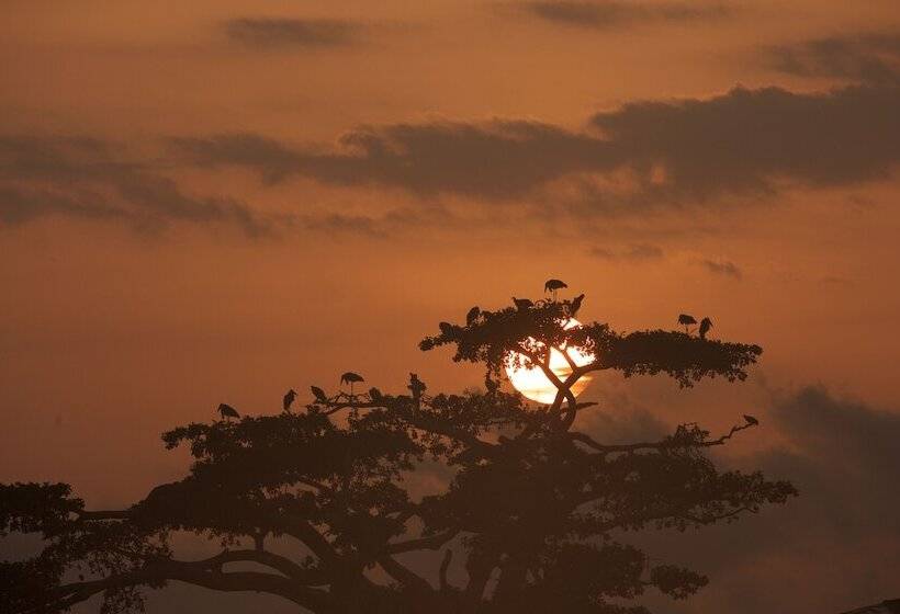 هتل Haile Resort Ziway