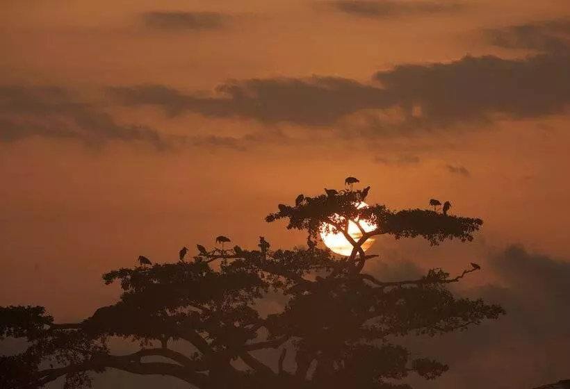 هتل Haile Resort Ziway