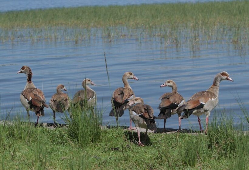 هتل Haile Resort Ziway