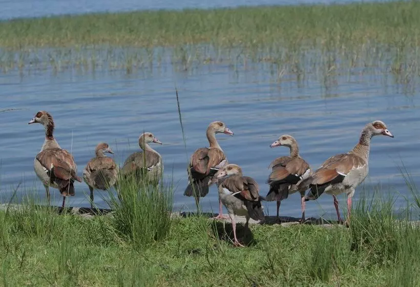 هتل Haile Resort Ziway