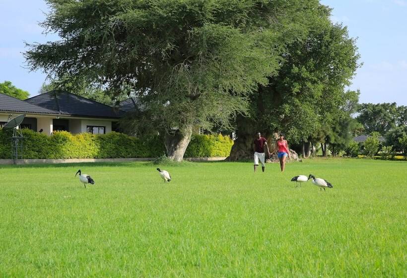 هتل Haile Resort Ziway