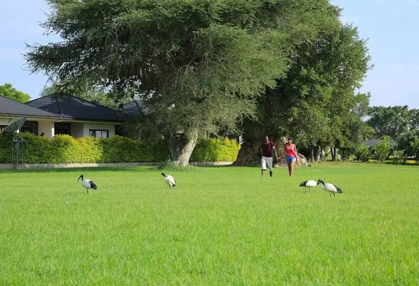 هتل Haile Resort Ziway