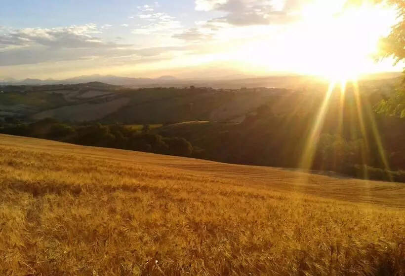 B&b La Collina Dorata