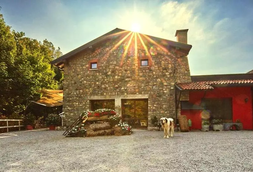 ベッドアンドブレックファースト Agriturismo Cascina Mirandola
