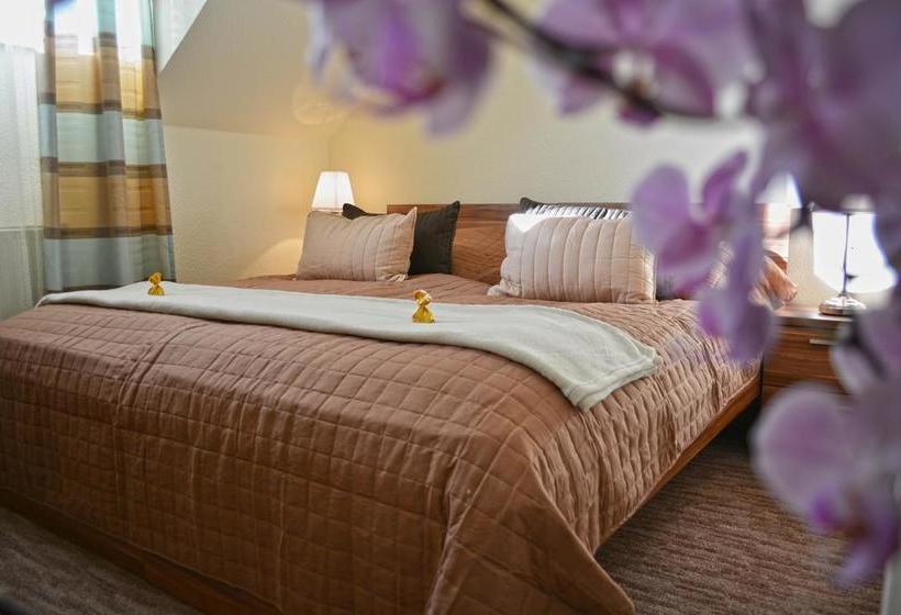 Bed and Breakfast Airport Glossel Panzió