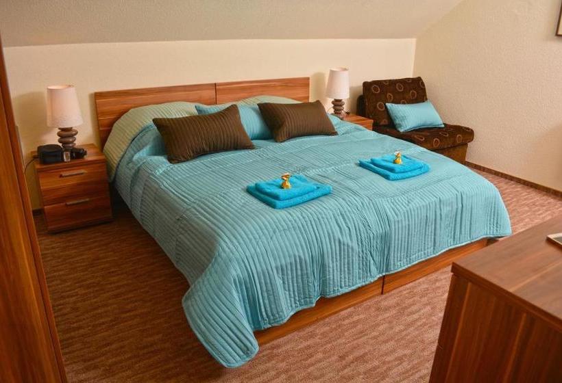 Bed and Breakfast Airport Glossel Panzió