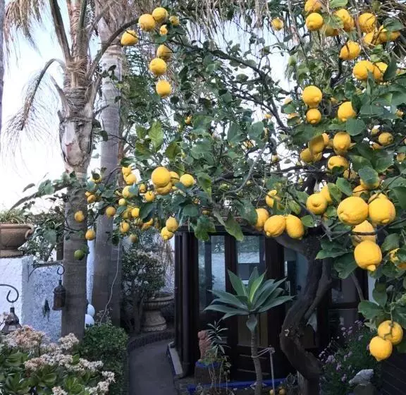 تختخواب و صبحانه Aquilone Residence