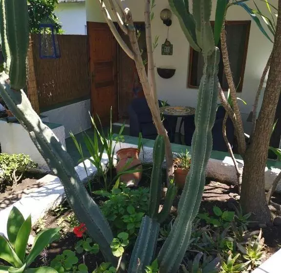 تختخواب و صبحانه Aquilone Residence