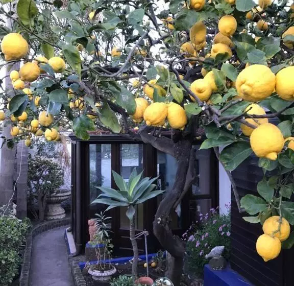 تختخواب و صبحانه Aquilone Residence