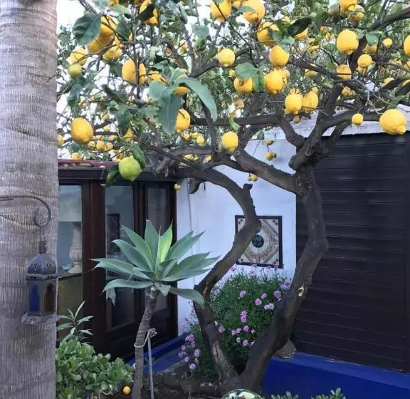 تختخواب و صبحانه Aquilone Residence