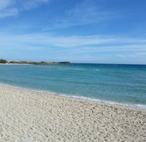 ベッドアンドブレックファースト Controvento