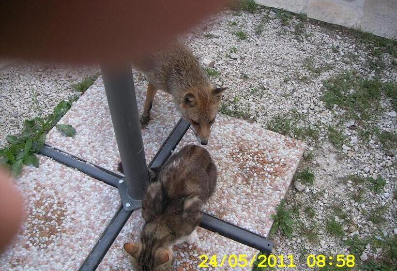 مبيت وإفطار Country House Antiche Dimore