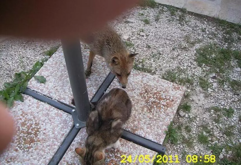 Aamiaismajoitus (B&B) Country House Antiche Dimore