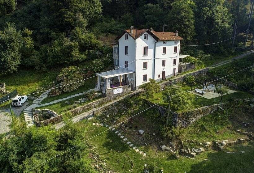 Bed and Breakfast Essentia Guest House