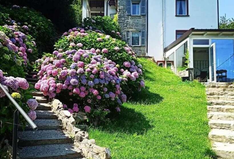 Bed and Breakfast Essentia Guest House