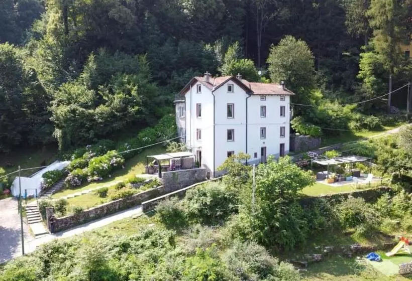 ベッドアンドブレックファースト Essentia Guest House