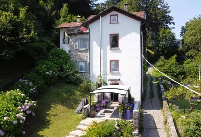 ベッドアンドブレックファースト Essentia Guest House