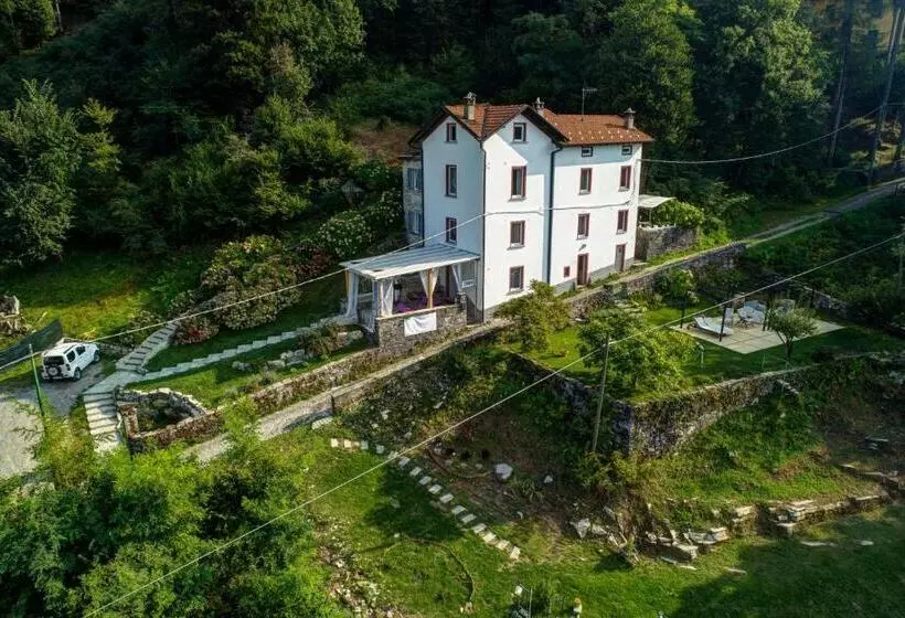 ベッドアンドブレックファースト Essentia Guest House