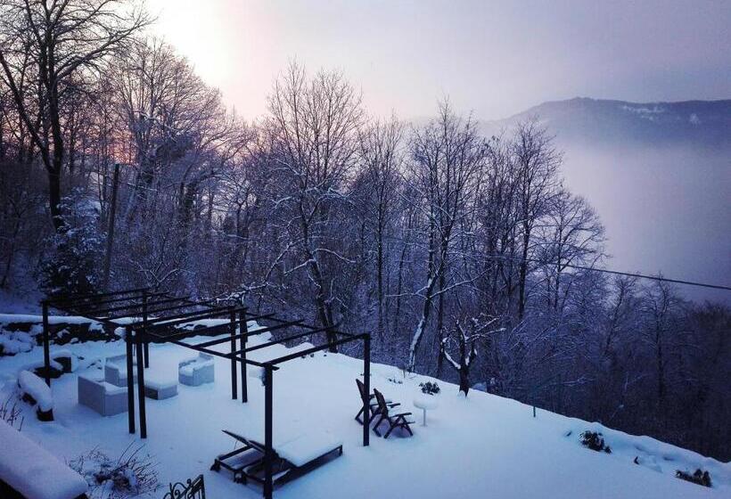 Bed and Breakfast Essentia Guest House